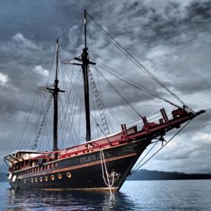 Pirate Cruise Ship Marketing