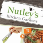 Ecommerce ppc expert