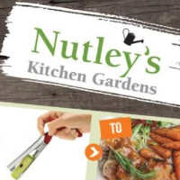 Ecommerce ppc expert